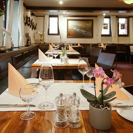 Hotel Wilder Mann Aschaffenburg