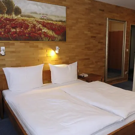 Wilder Mann Hotel Aschaffenburg
