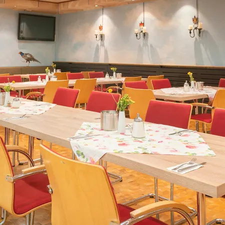 Wilder Mann מלון 3*