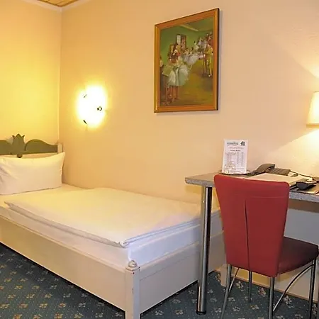 Wilder Mann Hotel 3*