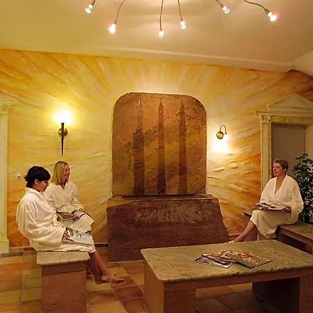 Wilder Mann Hotel 3*