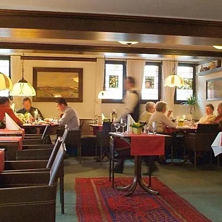 Wilder Mann Hotel